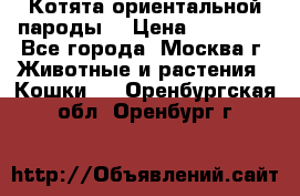 Котята ориентальной пароды  › Цена ­ 12 000 - Все города, Москва г. Животные и растения » Кошки   . Оренбургская обл.,Оренбург г.